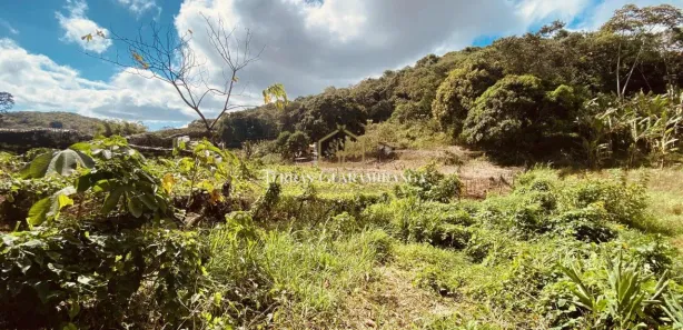 Terreno / Lote / Condomínio à venda, 20000m² no , Pacoti