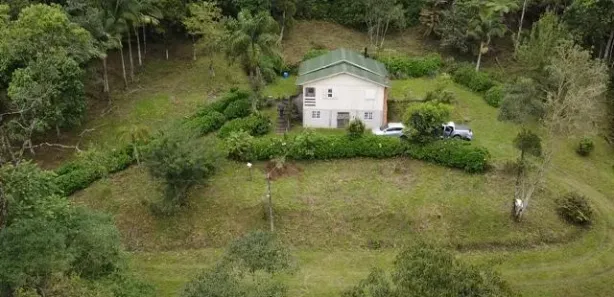 Fazenda / Sítio / Chácara com 2 Quartos à venda, 17000m² no , Águas Mornas