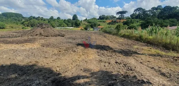 Fazenda / Sítio / Chácara com 1 Quarto à venda, 7900m² no Santa Terezinha, Fazenda Rio Grande