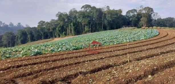 Terreno / Lote / Condomínio à venda, 81335m² no Jardim São Marcos, Itapevi