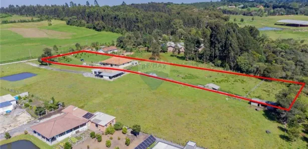 Fazenda / Sítio / Chácara com 4 Quartos à venda, 270m² no , Campina Grande do Sul