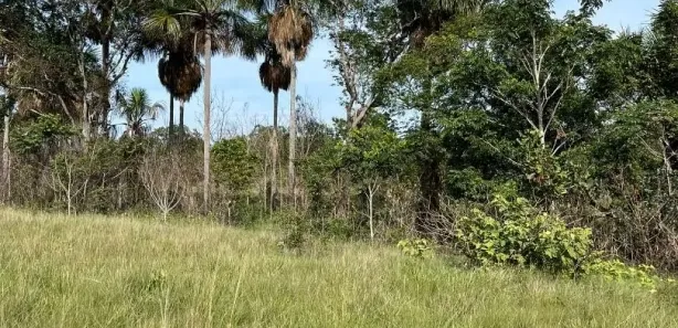 Fazenda / Sítio / Chácara à venda, 2613600m² no , Ponte Alta do Tocantins