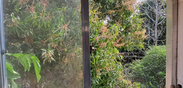 Fazenda / Sítio / Chácara com 6 Quartos à venda, 8000m² no Ajuda de Cima, Macaé