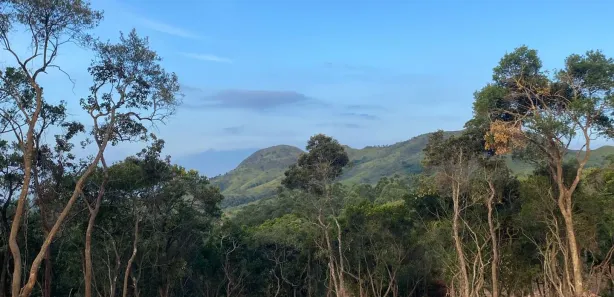 Fazenda / Sítio / Chácara com 2 Quartos à venda, 1000m² no Saboó, São Roque