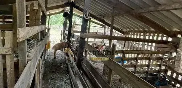 Fazenda / Sítio / Chácara com 6 Quartos à venda, 27000m² no Chácara São Benedito, Capivari
