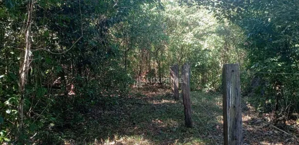 Fazenda / Sítio / Chácara à venda, 1190278m² no Jardim Brasilia I, Ponte Alta do Tocantins
