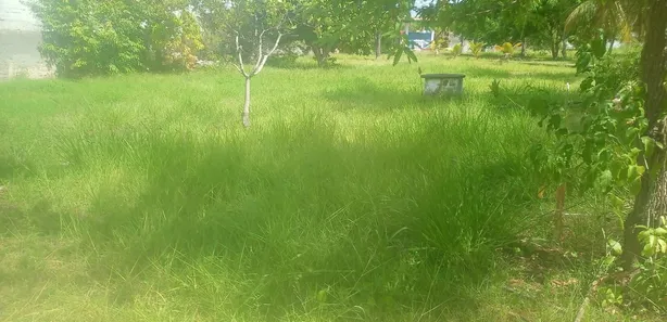 Terreno / Lote / Condomínio à venda, 4450m² no Jauá (Abrantes), Camaçari