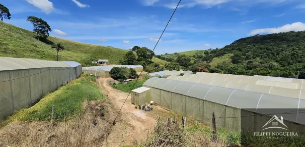 Fazenda / Sítio / Chácara com 4 Quartos à venda, 7395m² no Avelar, Paty do Alferes