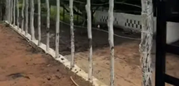 Fazenda / Sítio / Chácara com 2 Quartos à venda, 50000m² no , Conde