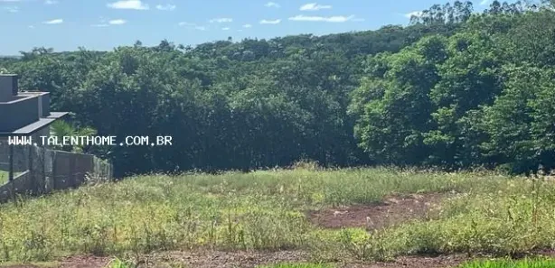Terreno / Lote / Condomínio à venda, 4200m² no , Alvorada do Sul