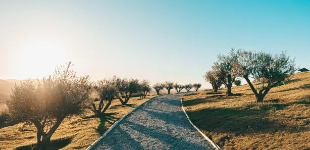 Terreno / Lote / Condomínio à venda, 1530m² no Julioca, Areal