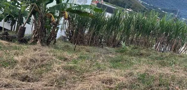 Terreno / Lote / Condomínio à venda, 4000m² no Centro, Águas Mornas