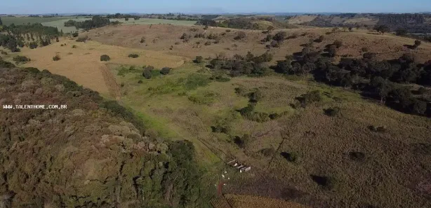Terreno / Lote Comercial à venda, 508000m² no , Assaí
