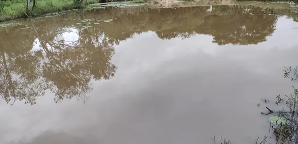Terreno / Lote / Condomínio à venda, 20000m² no , Fortuna de Minas