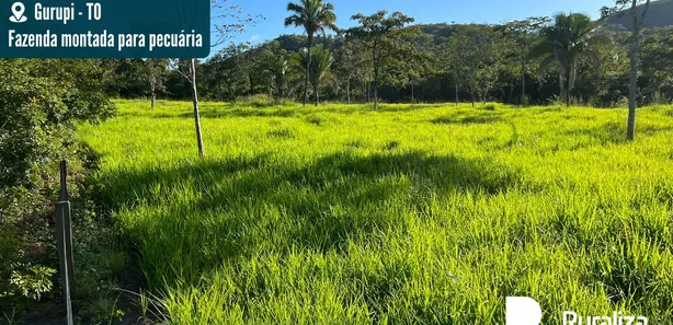 Fazenda / Sítio / Chácara à venda, 137m² no Setor Central, Gurupi