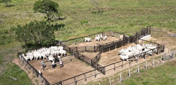 Fazenda / Sítio / Chácara com 4 Quartos à venda, 4065600m² no , Paranã