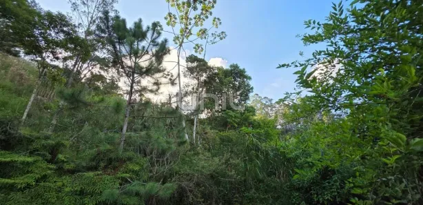 Terreno / Lote / Condomínio à venda, 48000m² no , Águas Mornas