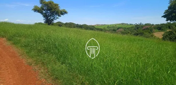 Fazenda / Sítio / Chácara à venda, 387200m² no Cruzeiro do Norte, Uraí