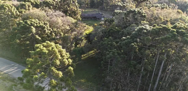 Fazenda / Sítio / Chácara à venda, 20031m² no Quatro Barras, Quatro Barras