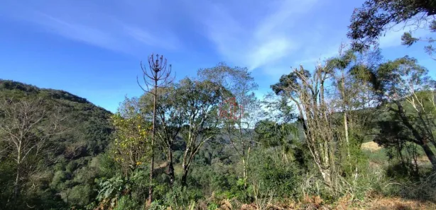 Fazenda / Sítio / Chácara à venda, 30000m² no , Santa Maria do Herval
