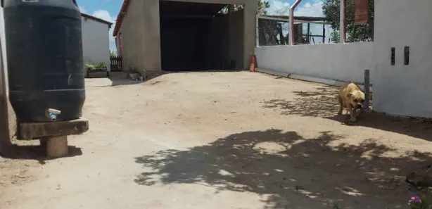 Fazenda / Sítio / Chácara com 2 Quartos à venda, 150m² no , Solânea