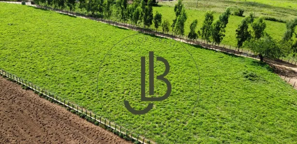 Fazenda / Sítio / Chácara com 3 Quartos à venda, 130m² no Centro, Pilar