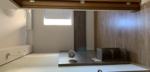 Apartamento com 2 Quartos à venda, 60m² no Parque Bom Retiro, Paulínia