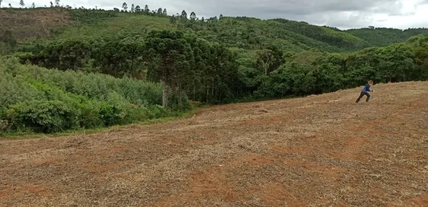 Fazenda / Sítio / Chácara à venda, 95465m² no Morro Azul, Almirante Tamandaré