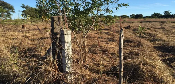 Fazenda / Sítio / Chácara à venda, 20000m² no Núcleo Rural Lago Oeste, Brasília