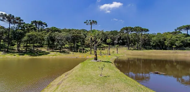 Fazenda / Sítio / Chácara com 8 Quartos à venda, 90000m² no Colônia Murici, São José dos Pinhais