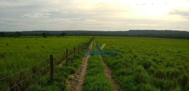 Fazenda / Sítio / Chácara com 1 Quarto à venda, 15070000m² no , Pedro Afonso