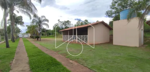 Fazenda / Sítio / Chácara com 3 Quartos para alugar, 5000m² no Sítios de Recreio Morada do Sol, Marília
