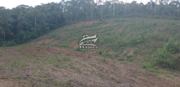 Terreno / Lote / Condomínio à venda, 23421m² no , São Pedro de Alcântara