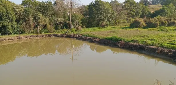 Fazenda / Sítio / Chácara com 2 Quartos à venda, 3827m² no Área Rural de Cerquilho, Cerquilho