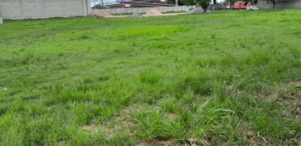 Galpão / Depósito / Armazém para alugar, 320m² no Centro, Maricá