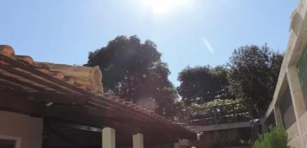 Fazenda / Sítio / Chácara com 4 Quartos à venda, 795m² no Nova Esperança, Santa Luzia