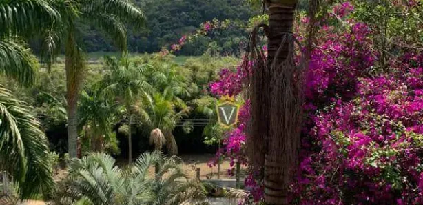 Fazenda / Sítio / Chácara com 5 Quartos à venda, 3000m² no Centro, Nazaré Paulista