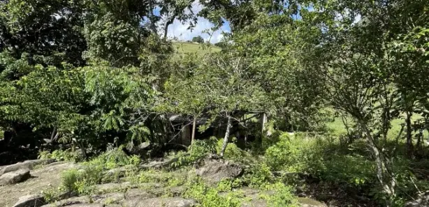 Fazenda / Sítio / Chácara à venda, 31000m² no , Joaquim Gomes
