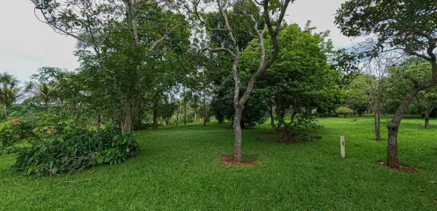 Fazenda / Sítio / Chácara com 2 Quartos à venda, 23000m² no Ponte Alta Norte, Brasília