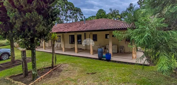 Fazenda / Sítio / Chácara com 4 Quartos à venda, 47000m² no Santa Gema, Colombo