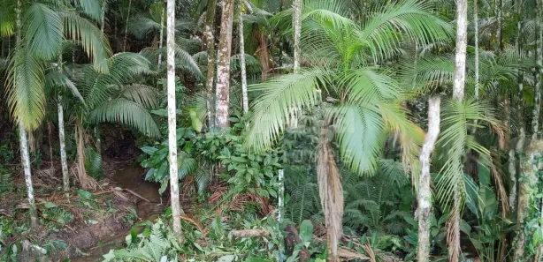 Terreno / Lote / Condomínio à venda, 18000m² no Carmelo, São João Batista