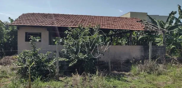 Terreno / Lote / Condomínio para venda ou aluguel, 3698m² no Jardim Paulistano (Vila Xavier), Araraquara