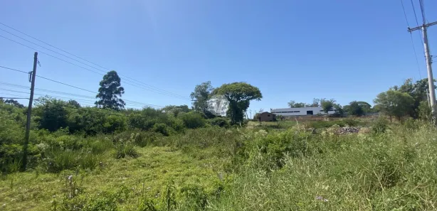 Terreno / Lote / Condomínio para venda ou aluguel, 8790m² no Lorenzi, Santa Maria