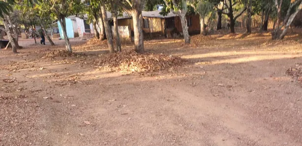 Fazenda / Sítio / Chácara com 2 Quartos à venda, 10000m² no , Brasília