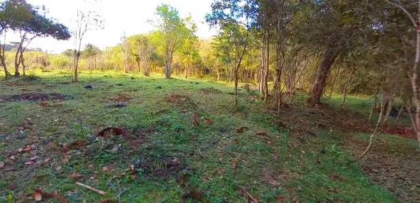 Fazenda / Sítio / Chácara à venda, 32800m² no , Tijucas do Sul