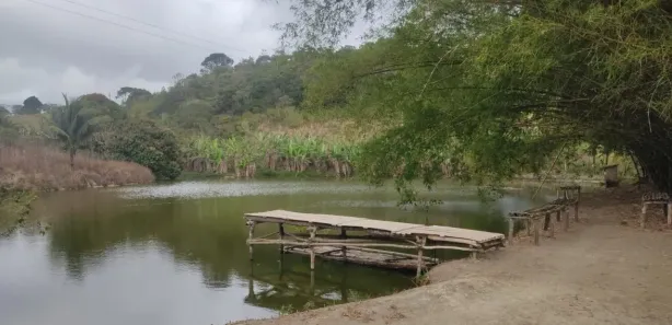 Fazenda / Sítio / Chácara com 4 Quartos à venda, 20000m² no Distrito Industrial (Prefeito José Augusto Ferrer de Morais), Vitória de Santo Antão