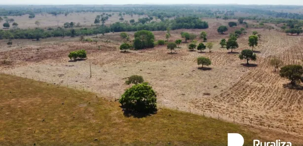 Fazenda / Sítio / Chácara à venda, 953m² no Setor Central, Divinópolis do Tocantins