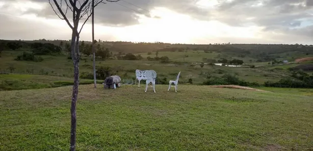 Fazenda / Sítio / Chácara com 4 Quartos à venda, 580000m² no , Brejinho