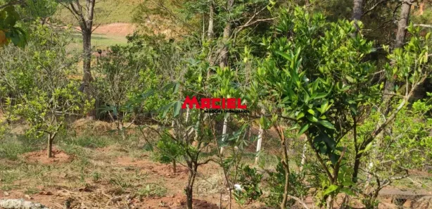 Fazenda / Sítio / Chácara com 2 Quartos à venda, 754m² no Jardim Colônia, Jacareí