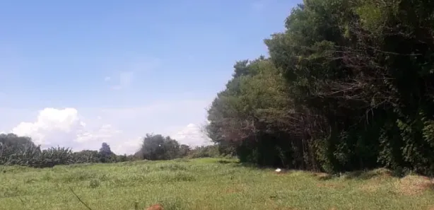 Fazenda / Sítio / Chácara com 1 Quarto à venda, 10000m² no , Brasília